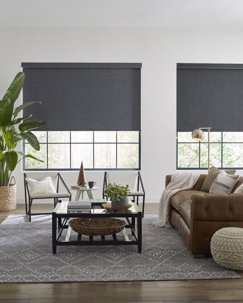 Levolor Roller Shades