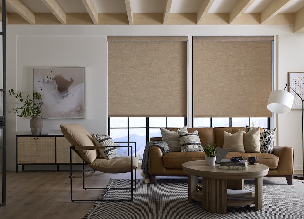 Levolor Roller Shades - Thumbnail 3